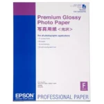 Epson Premium Glossy Photo Paper A2 biedt een luxe premium-gloss afwerking en een stevig gewicht van 255 g/m² voor levendige,